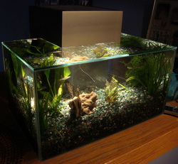 Edge Aquarium