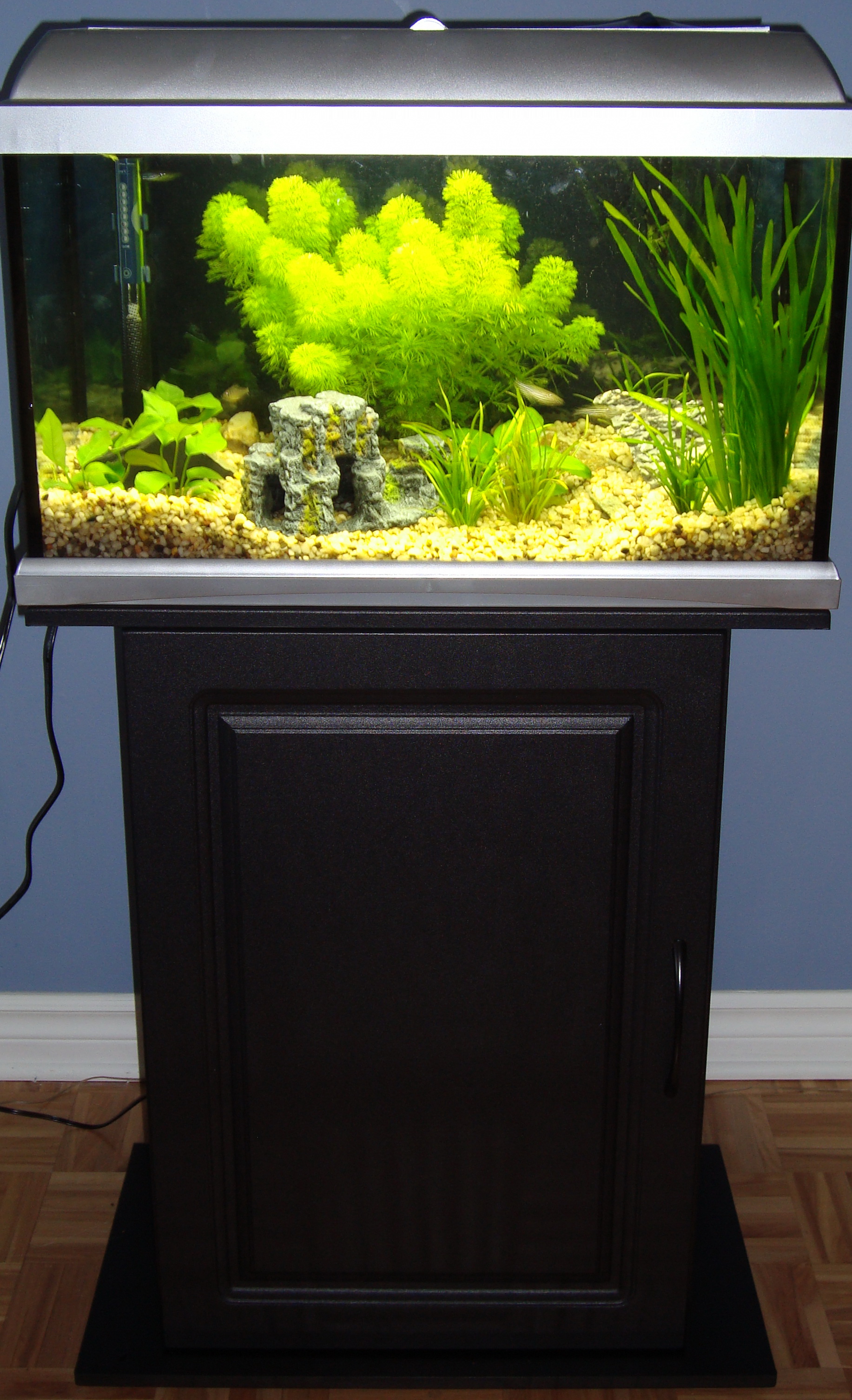 Community Aquarium